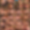 Cynara Fox/Screens