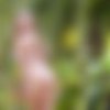 2020.10.18_Femjoy.com_Josephine-V_Paradise thumbnail