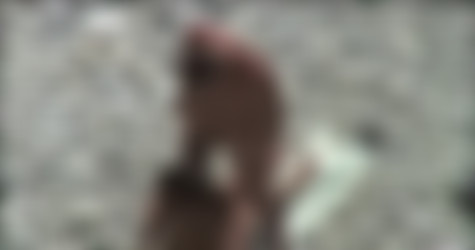 SxBeach_Add008/bh_4432.avi