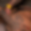 [ThaiSwinger-LatinaRaw] SiteRip thumbnail