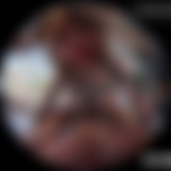 SLROriginals - Poolside Romance - Tiger Lilly (Oculus 8K)