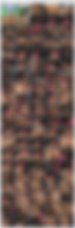 ASSPOUNDERS_2/screenshots/VTS_02_1.VOB_thumbs.jpg