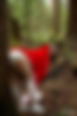 Littlestkittenx/Photos/2023-12-03-1701620450727/0013-IMG_2036.jpeg
