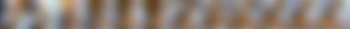 BangPOV.19.01.19.Jynx.Maze.XXX.2160p.MP4-KTR screencaps